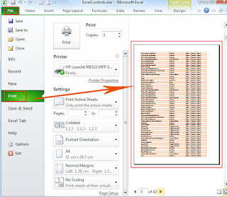 Cara print di ms excel agar halaman tidak terpotong