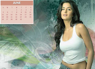 2011 Calendar - June