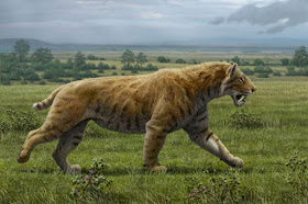 Smilodon populator - Dientes de sable