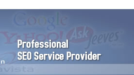 What Services Professional SEO Services Provide