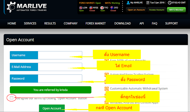 Marlive Automated Forex Trading Review Marlive Automated Forex - 