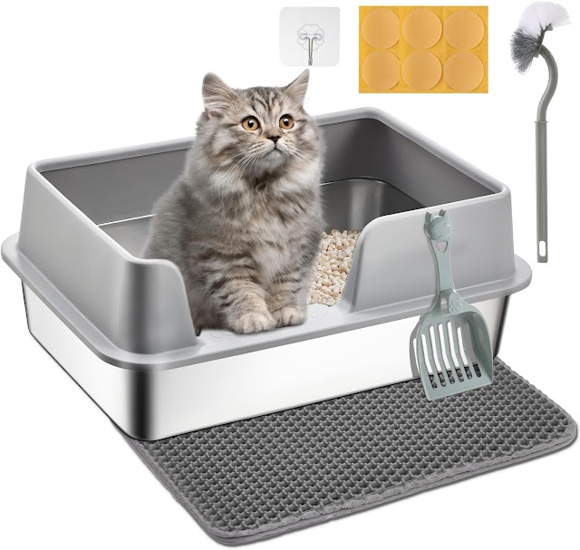 How to Train a Cat to Use a Litter Box – Step-by-Step Guide for New Pet Owners (2025)