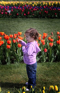 IMG_0752 copy