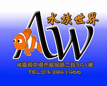 我的相片