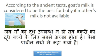 Mother's milk goat milk, Astro Junction, Gaurav Malhotra