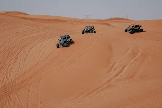 roam with  buggy