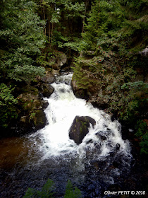 GERARDMER (88) - Le Saut des Cuves