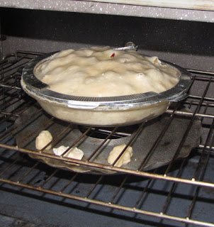 crabapple pie ready for baking