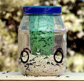 bird_feeder_2