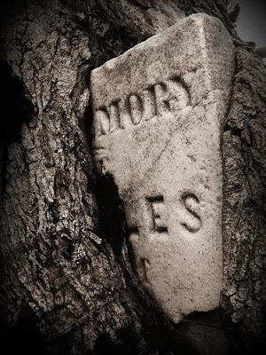 Graveyard Photography