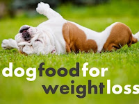 best diet for dogs uk