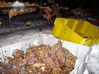 Bins used to collect the bunches