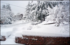 storm 3