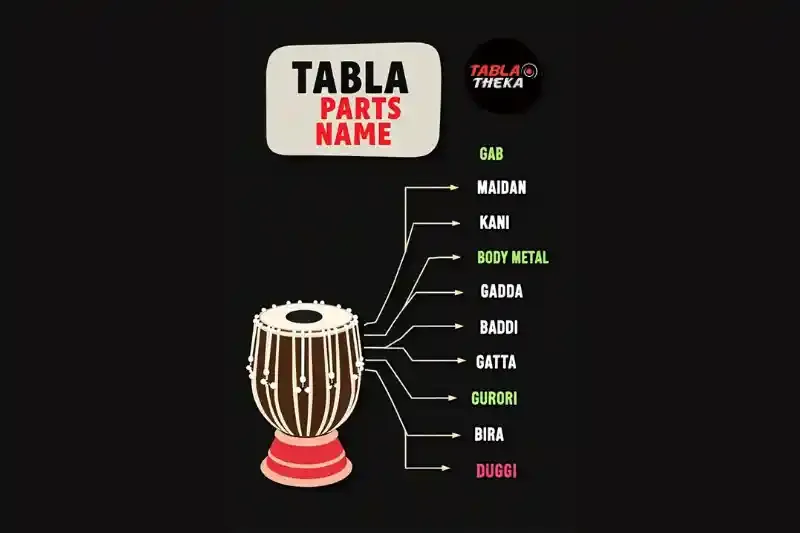 A detailed diagram showing the names of different parts of a tabla