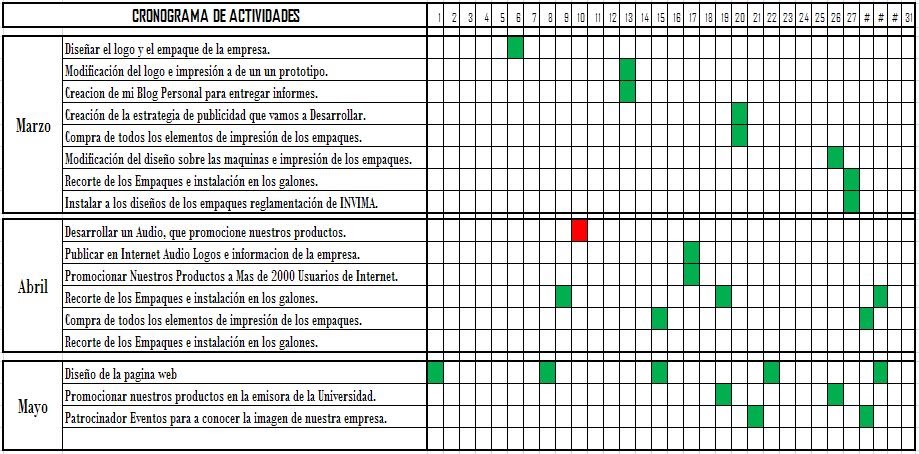 Cristian Javier Gasca LLanten: CRONOGRAMA