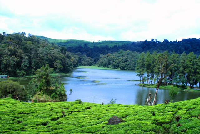 Situ Patengan