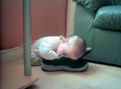 Funny Baby Sleeping on shoe