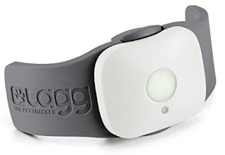 dog gps locator