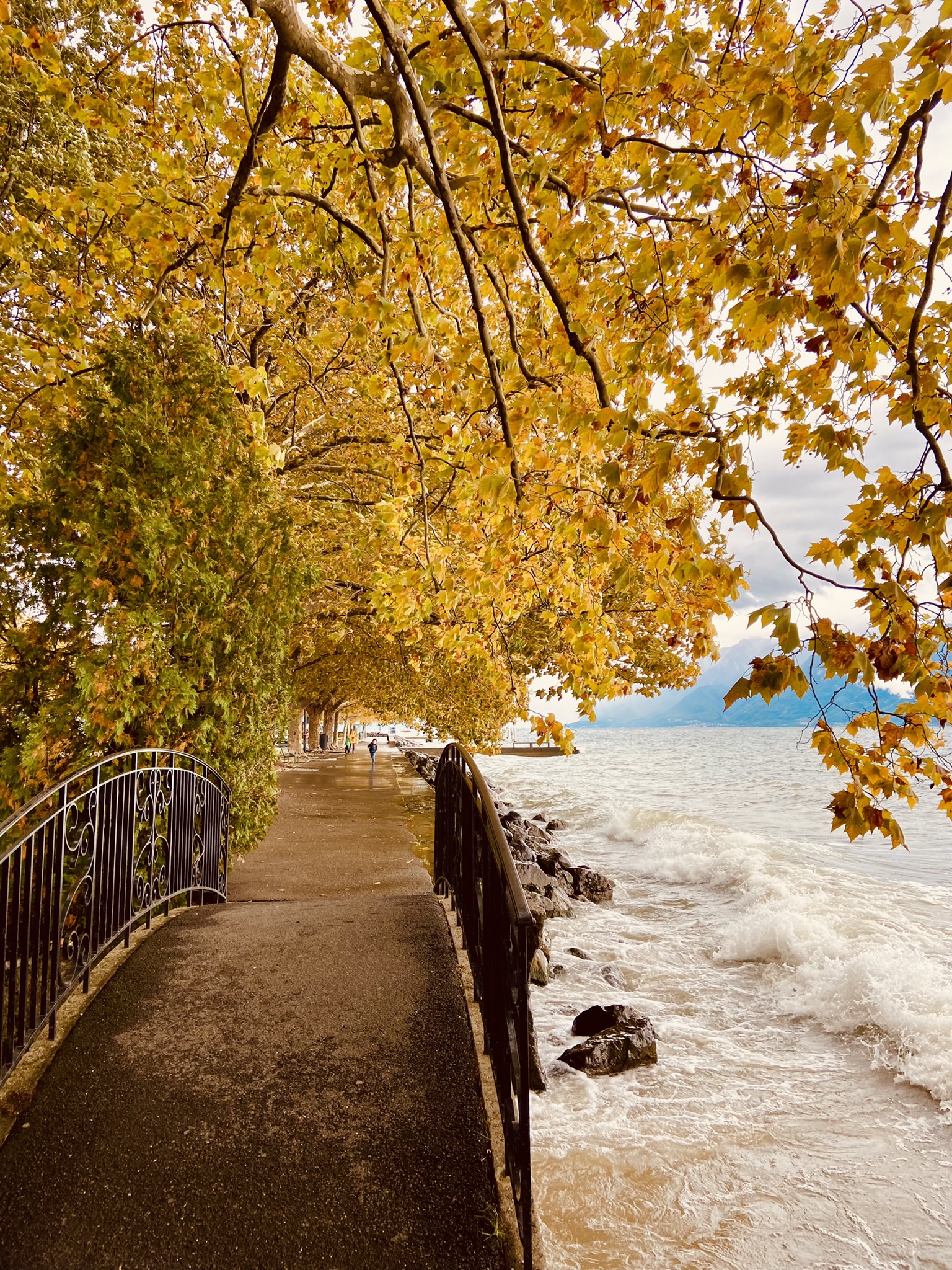λουτρί ελβετία φθινόπωρο λίμνη φύση βόλτα περίπατος lutry lake lausanne leman fall automne