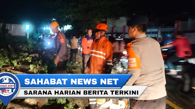 Brimob Sulsel bersama BPDB gerak cepat evakuasi pohon tumbang di Kota Parepare