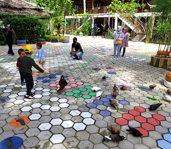 Burung Merpati di Taman Agrowisata Rekadena Foto