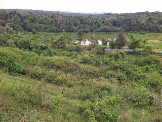 Vaderahalli lake , Kanakapura road