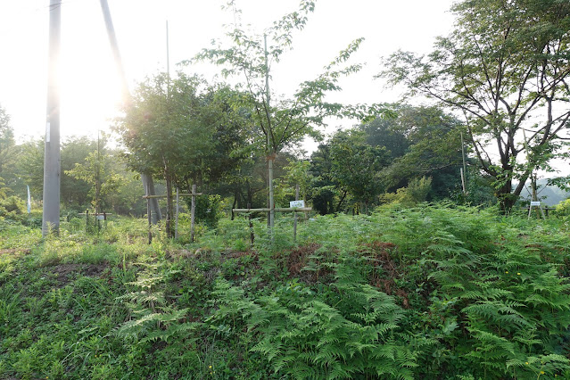 伯耆町 交流の森