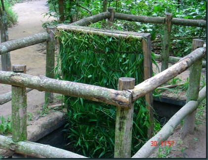 DSC04137-1