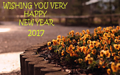 Free happy new year 2017 images HD