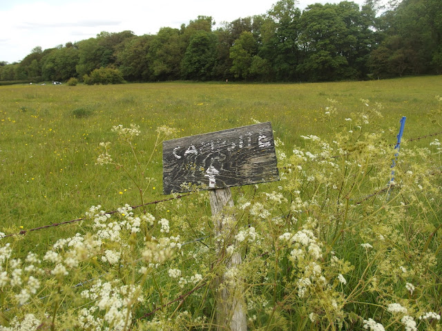 Just in Style Country side walk next to the lamas