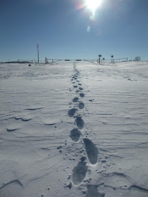 boot prints in winter snow, wisconsin, michigan