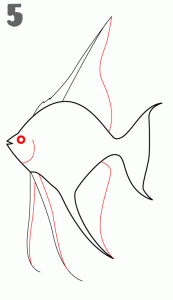 تعلم طريقة رسم سمكه في خطوط رسم