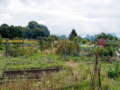 Bradley Fold Allotments