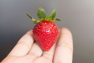 Sexo, Naturopatía, Rosa García