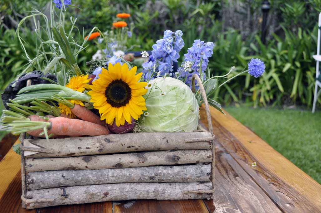 Vegetables center pieces for your green wedding