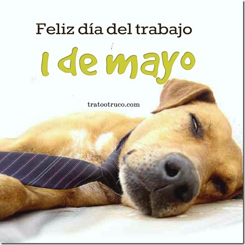 dia del trabajo tratootruco (5)