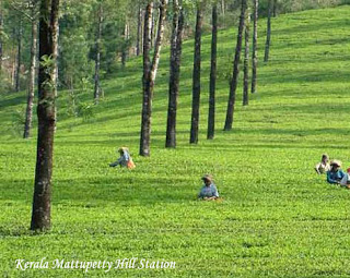 Mattupetty Hill Station