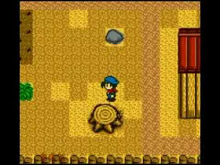 Download Harvest Moon GBC [1,2,3] Untuk Android