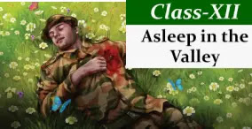 asleep-in-valley-mcq