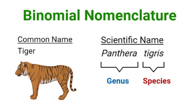 Binomial Nomenclature