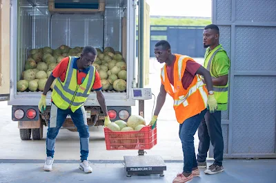 Accra to host Africa Foodbank confab'24 - NaijaAgroNet