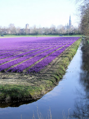 Lisse, van Lynden weg