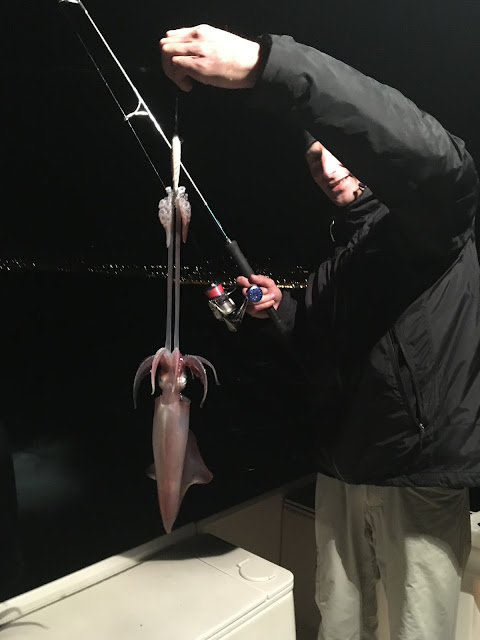pêche du calamar