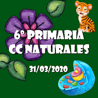  Ciencias Naturales 6º