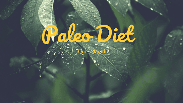 A Quick Guide To The Paleo Diet