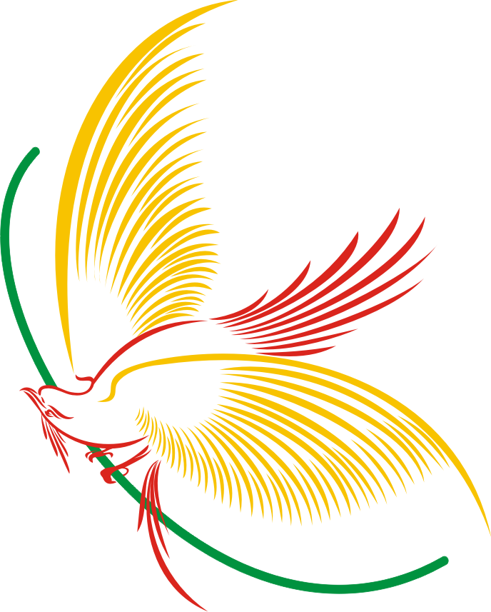 Burung Cendrawasih Format Vector Berita Online Papua 