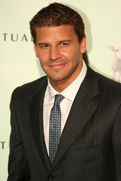 david boreanaz pictures