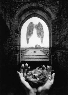 TRENDS in PHOTOGRAPHY: Jerry UELSMANN (USA)