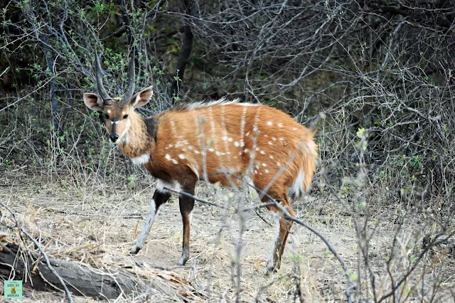 Mahango, Namibia