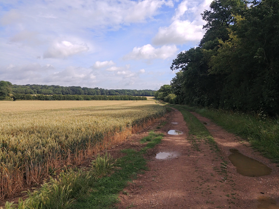 Hunsdon footpath 11 mentioned in point 2 below Photograph by Hertfordshire Walker released via Creative Commons